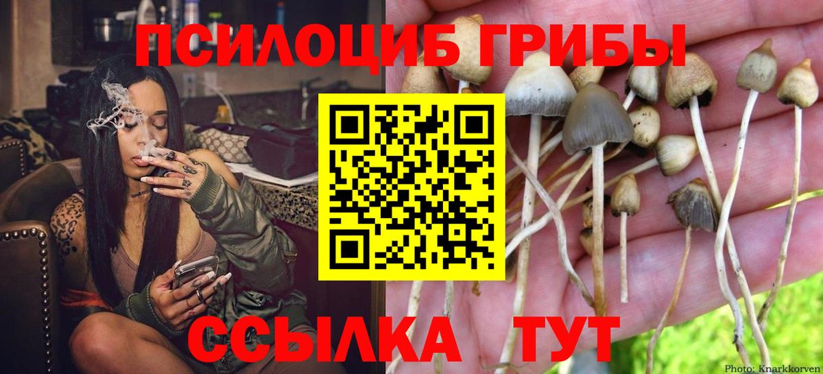 Галлюциногенные грибы ЛСД Рославль