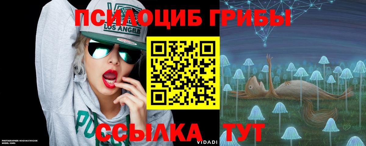 как найти закладки  Псилоцибиновые грибы Psilocybine cubensis  Вход с VPN  Галлюциногенные грибы мухоморы  Рославль 